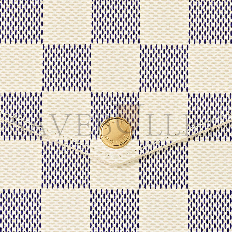 LOUIS VUITTON MASTER FÉLICIE POCHETTE N40491 (21*12*3cm)